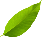 hoja komte